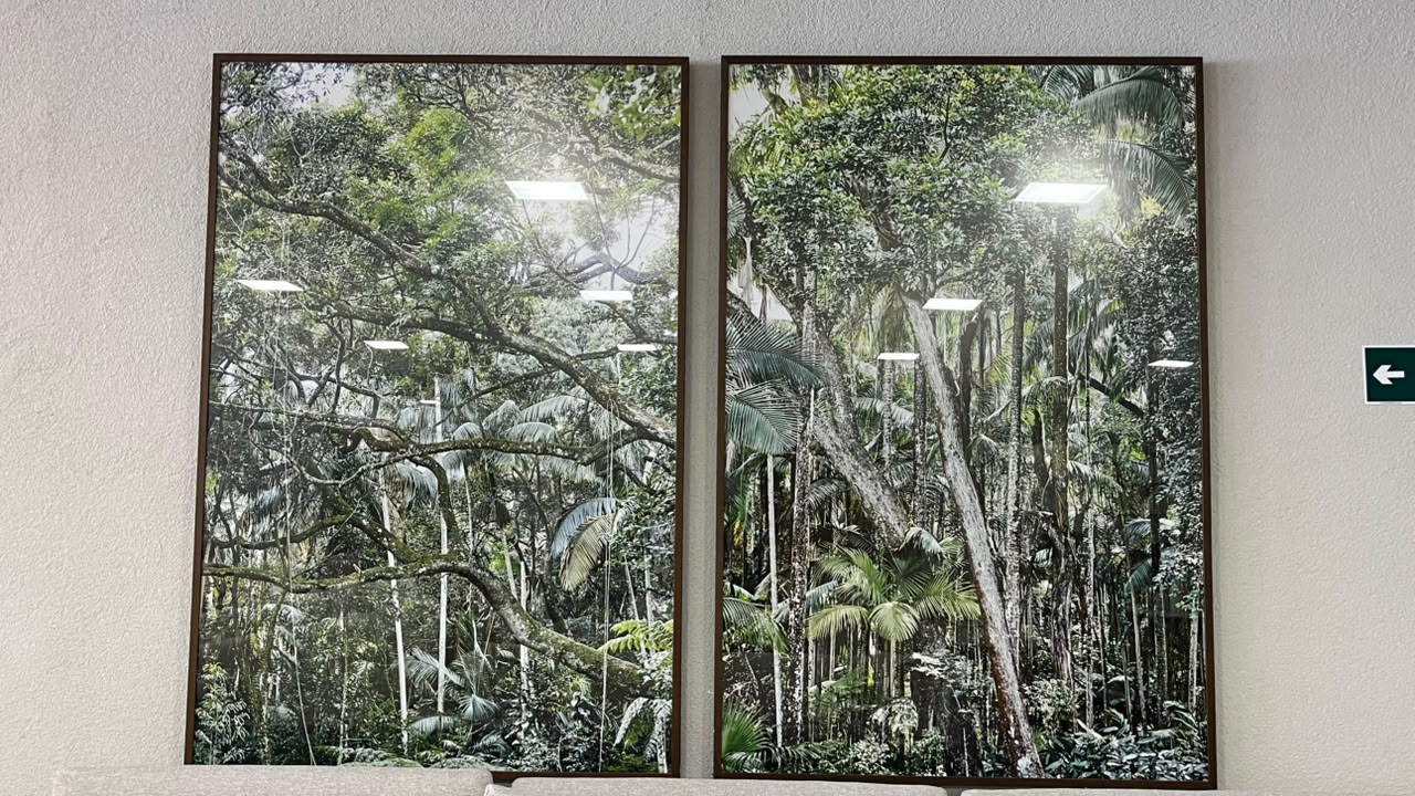 Ref. SE171A: Quadro Forest I, Ref. SE465A: Quadro Forest II (individual) - Imagem 2